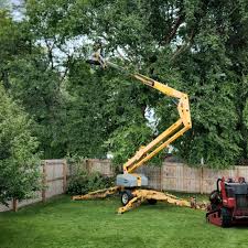 Best Tree Risk Assessment  in Union City, IN