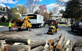 Best Tree Disease Treatment  in Union City, IN